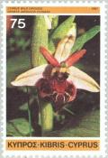 Colnect-174-993-Ophrys-argolica-elegans---Eyed-bee-orchid.jpg