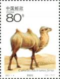 Colnect-2098-619-Bactrian-Camel-Camelus-bactrianus.jpg