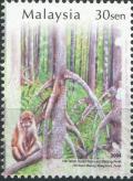 Colnect-2217-184-Macaque-Macaca-sp-on-Mangrove-Tree-Root.jpg