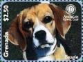 Colnect-5983-198-Beagle-Canis-lupus-familiaris.jpg