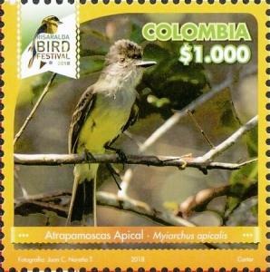 Colnect-5965-082-Apical-Flycatcher-Myiarchus-apicalis.jpg