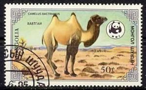 Colnect-1081-007-Bactrian-Camel-Camelus-bactrianus.jpg