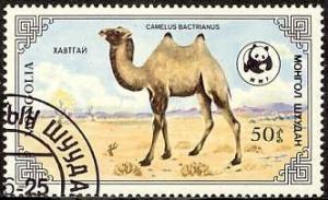 Colnect-1081-008-Bactrian-Camel-Camelus-bactrianus.jpg