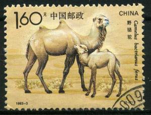 Colnect-1407-755-Bactrian-Camel-Camelus-bactrianus.jpg