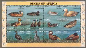 Colnect-1718-836-Ducks-of-Africa---Mini-Sheet-of-12-Stamps.jpg