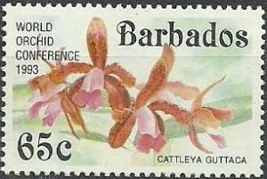 Colnect-1785-490-Cattleya-guttata.jpg