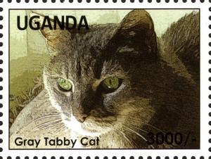 Colnect-3053-182-Gray-Tabby-Cat-Felis-silvestris-catus.jpg