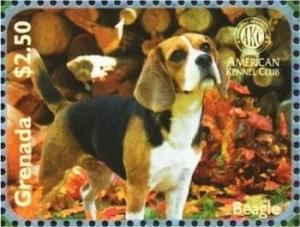 Colnect-3278-356-Beagle-Canis-lupus-familiaris.jpg