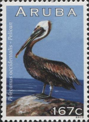 Colnect-6279-123-Brown-Pelican-Pelecanus-occidentalis.jpg