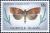 Colnect-2132-709-Moth-Austrocarea-iocephala-ssp-millsi.jpg