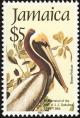 Colnect-1700-678-Brown-Pelican-Pelecanus-occidentalis.jpg