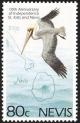 Colnect-2143-251-Brown-Pelican-Pelecanus-occidentalis.jpg