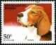 Colnect-2571-939-Beagle-Canis-lupus-familiaris.jpg