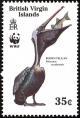 Colnect-2722-911-Brown-Pelican--Pelecanus-occidentalis-swallowing-fish.jpg