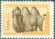 Colnect-3156-296-Bactrian-Camel-Camelus-bactrianus.jpg