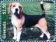 Colnect-5983-199-Beagle-Canis-lupus-familiaris.jpg