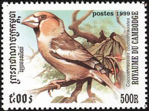 Colnect-1527-011-Hawfinch-Coccothraustes-coccothraustes.jpg