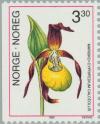 Colnect-162-386-Cypripedium-calceolus---Lady-s-slipper-Orchid.jpg
