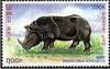 Colnect-2490-242-Javan-Rhinoceros-Rhinoceros-sondaicus.jpg