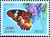 Colnect-2942-755-Red-Lacewing-Cethosia-biblis.jpg