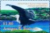 Colnect-3911-496-Magnificent-black-fritagebird.jpg