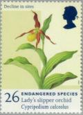 Colnect-123-209-Cypripedium-calceolus---Lady-s-slipper-Orchid.jpg
