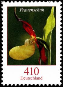 Colnect-5205-792-Cypripedium-calceolus---Lady--s-slipper-Orchid.jpg