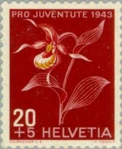 Colnect-139-782-Cypripedium-calceolus---Lady-s-slipper-Orchid.jpg