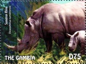 Colnect-3611-903-Sumatran-Rhinoceros-Dicerorhinus-sumatrensis.jpg