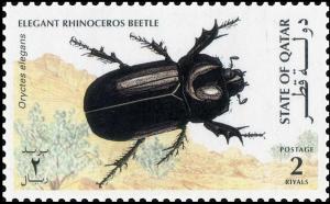 Colnect-4169-081-Elegant-Rhinoceros-Beetle-Oryctes-elegans.jpg