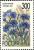 Colnect-2819-880-Centaurea-jacea.jpg
