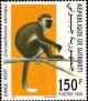Colnect-3217-739-Grivet-Cercopithecus-aethiops.jpg