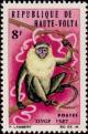 Colnect-509-085-Grivet-Cercopithecus-aethiops.jpg
