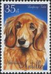 Colnect-1014-755-Long-haired-Dachshund-Canis-lupus-familiaris.jpg
