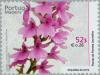 Colnect-187-670-Madeiran-orchid-Dactylorhiza-foliosa.jpg
