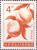 Colnect-3185-106-Peaches-Prunus-persica.jpg