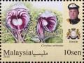 Colnect-5868-885-Orchids-of-Malaysia.jpg