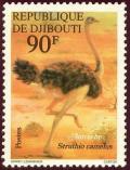 Colnect-997-007-Ostrich-Struthio-camelus.jpg