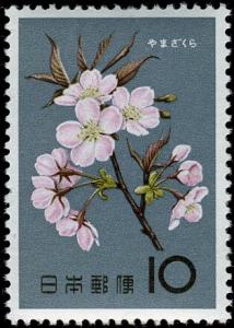 Colnect-5526-376-Cherry-Blossoms.jpg