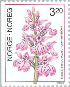 Colnect-162-301-Dactylorhiza-fuchsii---Common-Spotted-Orchid.jpg
