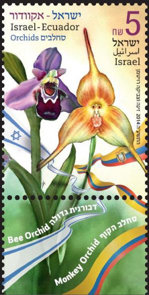 Colnect-2436-694-Bee-orchid-and-Monkey-orchid.jpg
