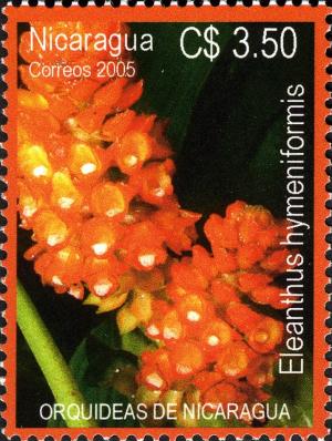Colnect-3063-574-Orchids-of-Nicaragua.jpg