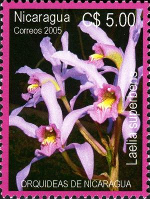 Colnect-3063-575-Orchids-of-Nicaragua.jpg