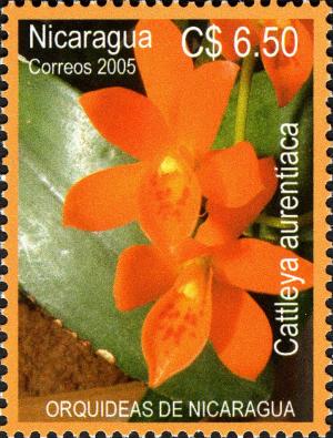 Colnect-3063-576-Orchids-of-Nicaragua.jpg