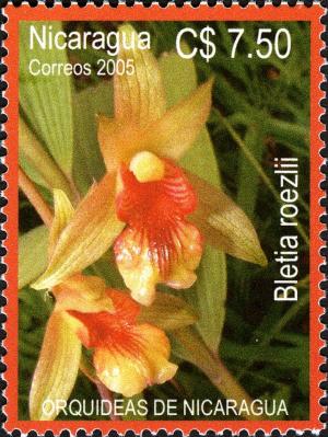 Colnect-3063-577-Orchids-of-Nicaragua.jpg