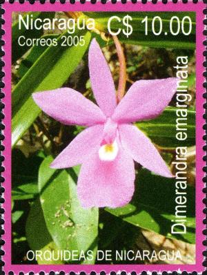 Colnect-3063-578-Orchids-of-Nicaragua.jpg