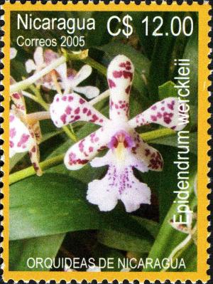 Colnect-3063-580-Orchids-of-Nicaragua.jpg