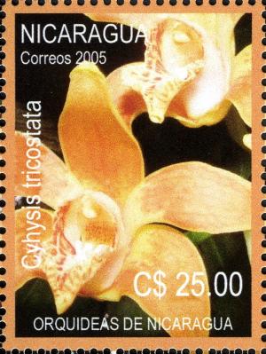 Colnect-3063-581-Orchids-of-Nicaragua.jpg