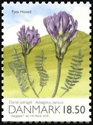 Colnect-3181-252-Purple-Milk-vetch-Astragalus-danicus-from-m-s.jpg