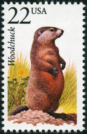 Colnect-5026-776-Woodchuck-Marmota-monax.jpg